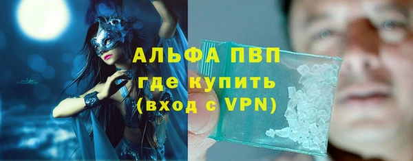 индика Бугульма