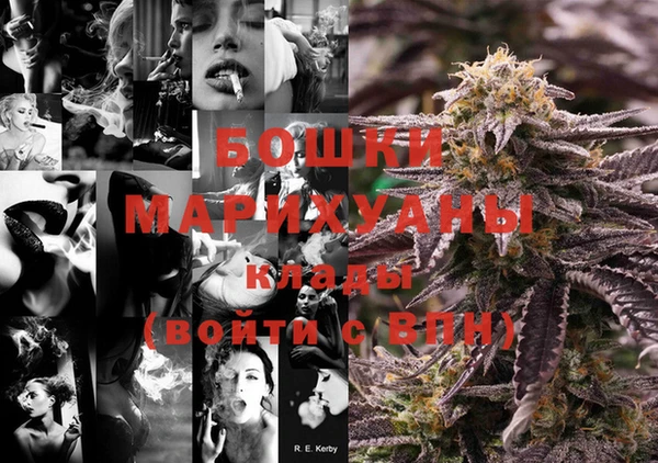 индика Бугульма