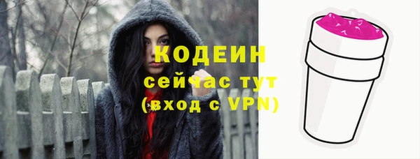 эйфоретик Бородино