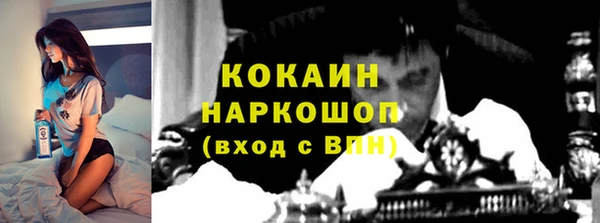эйфоретик Бородино