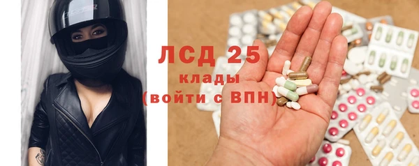 эйфоретик Бородино