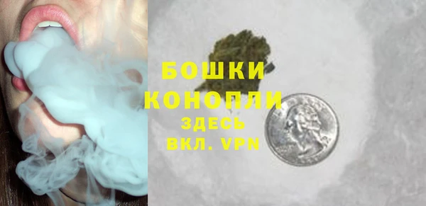эйфоретик Бородино