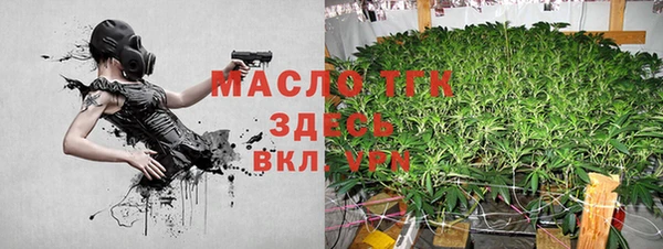 крисы Бронницы