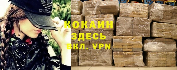 крисы Бронницы