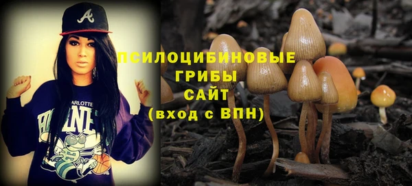крисы Бронницы