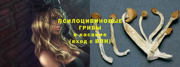 индика Бугульма