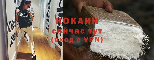 крисы Бронницы
