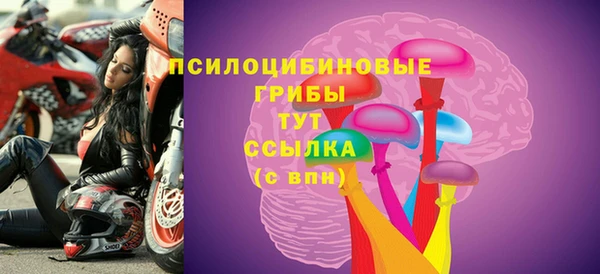 эйфоретик Бородино